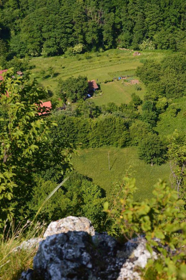 Na Okic - A Private Forest Oasis Sveti Martin pod Okicem Exteriör bild