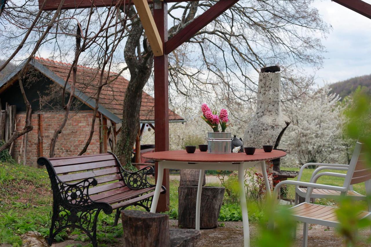 Na Okic - A Private Forest Oasis Sveti Martin pod Okicem Exteriör bild