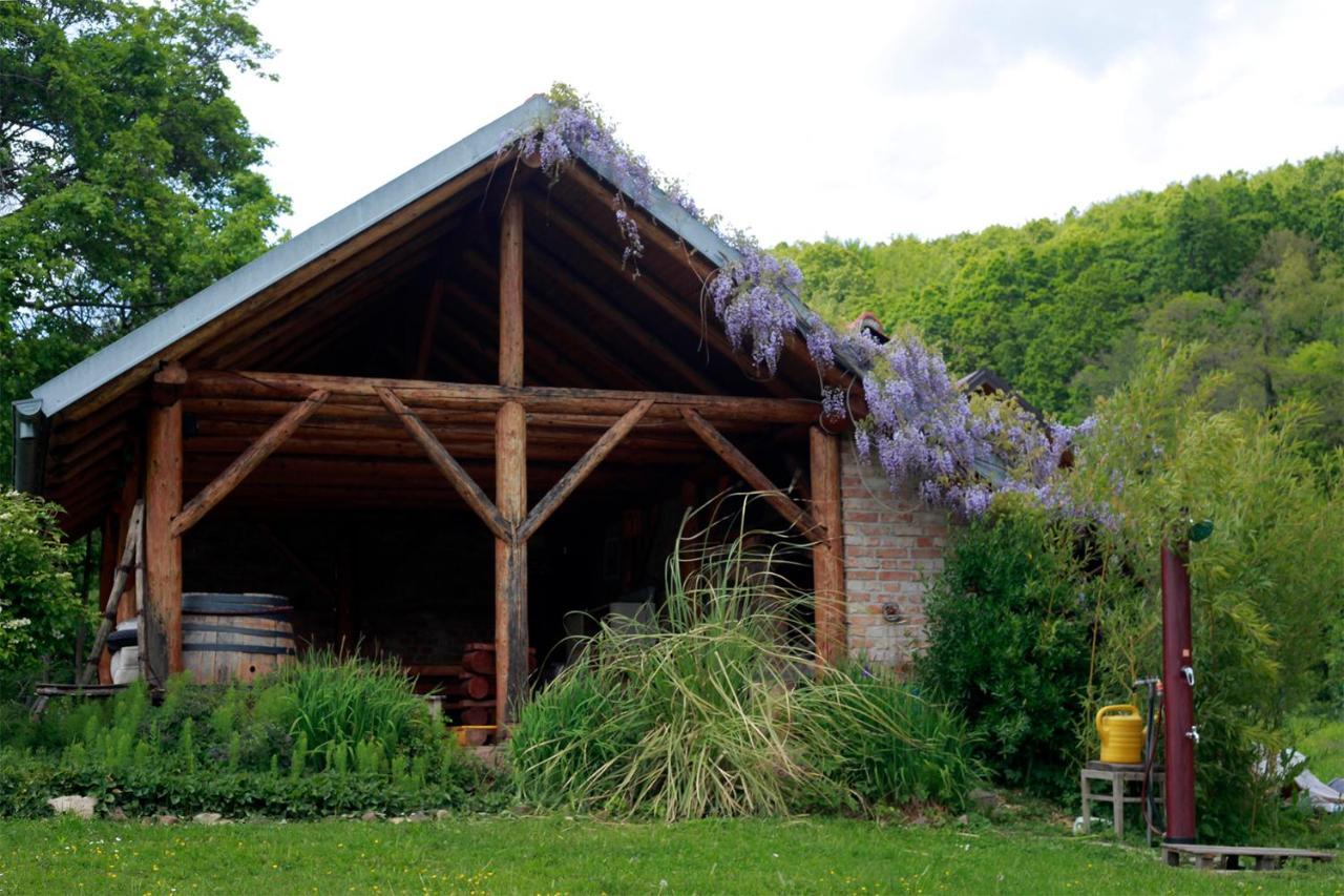 Na Okic - A Private Forest Oasis Sveti Martin pod Okicem Exteriör bild