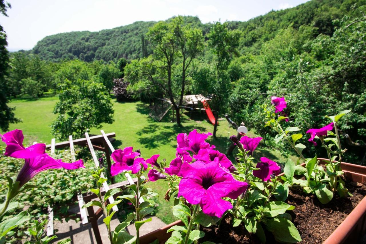 Na Okic - A Private Forest Oasis Sveti Martin pod Okicem Exteriör bild